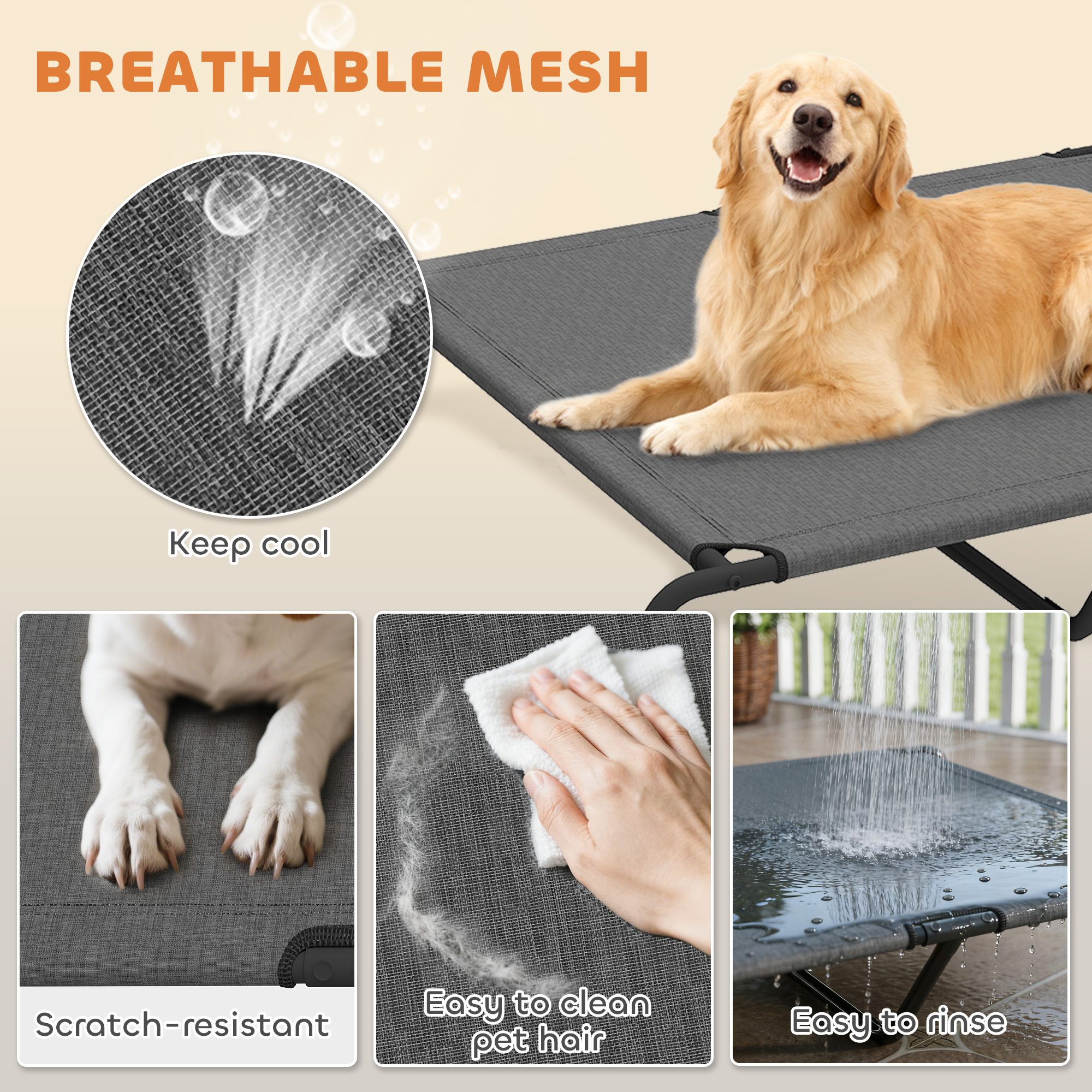 galleryImage