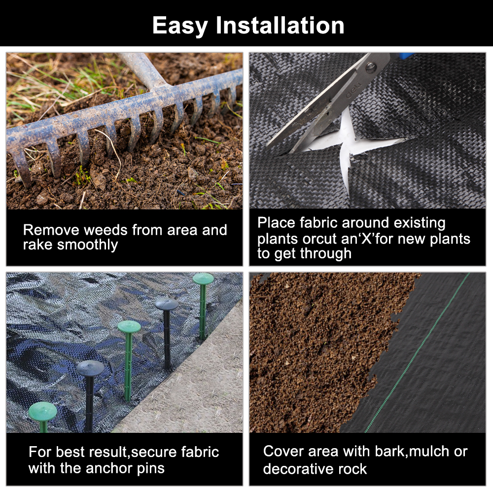 galleryImage